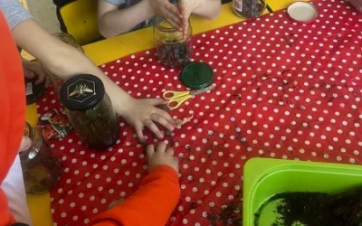 Biedronki realizują projekt &#34;Czas na las&#34;