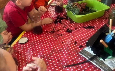 Biedronki realizują projekt &#34;Czas na las&#34;