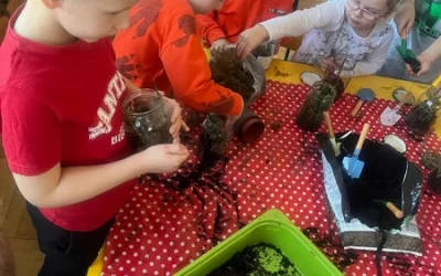 Biedronki realizują projekt &#34;Czas na las&#34;