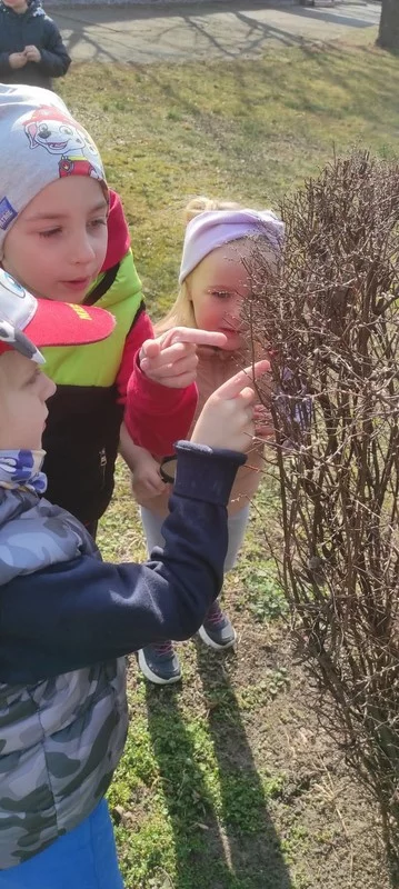 W poszukiwaniu wiosny 