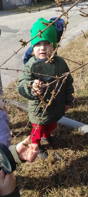 W poszukiwaniu wiosny 