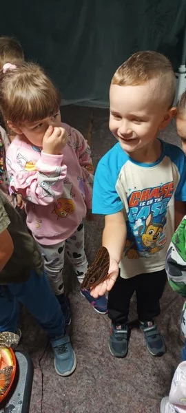 Smerfy na Wystawie Żywych Motyli