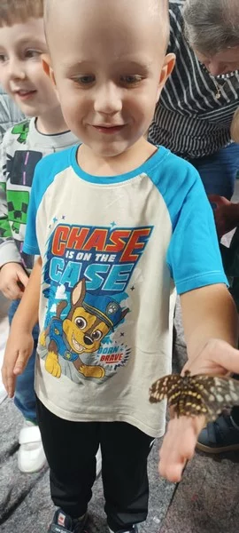 Smerfy na Wystawie Żywych Motyli