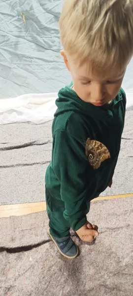 Smerfy na Wystawie Żywych Motyli