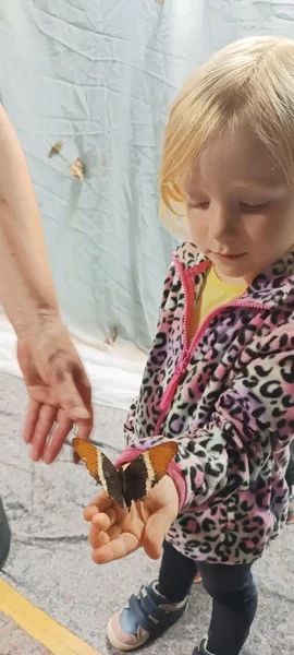 Smerfy na Wystawie Żywych Motyli