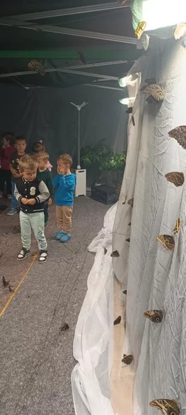 Smerfy na Wystawie Żywych Motyli