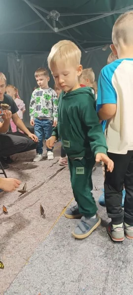 Smerfy na Wystawie Żywych Motyli