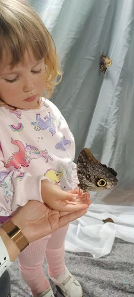 Smerfy na Wystawie Żywych Motyli