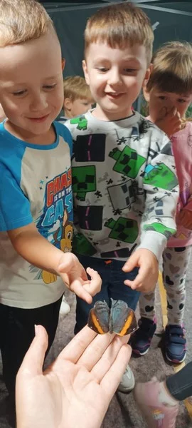 Smerfy na Wystawie Żywych Motyli