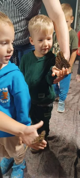 Smerfy na Wystawie Żywych Motyli