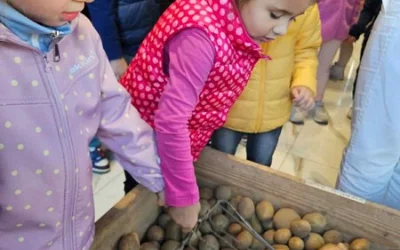 Skrzaty z wizytą w warzywniaku