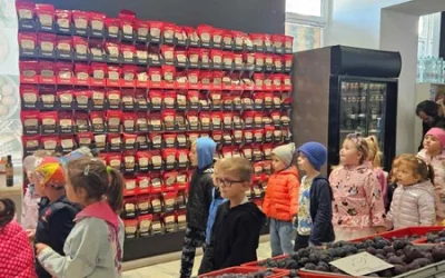 Skrzaty z wizytą w warzywniaku