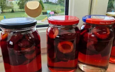 Kompoty śliwkowe w wykonaniu Skrzatów