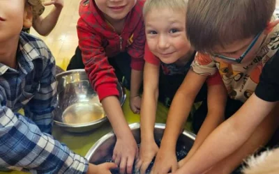 Kompoty śliwkowe w wykonaniu Skrzatów