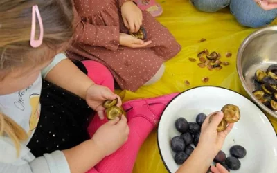 Kompoty śliwkowe w wykonaniu Skrzatów