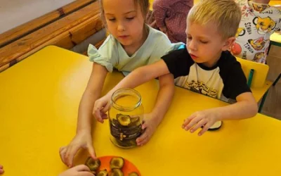 Kompoty śliwkowe w wykonaniu Skrzatów