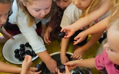 Kompoty śliwkowe w wykonaniu Skrzatów