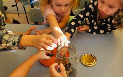 Kompoty śliwkowe w wykonaniu Skrzatów