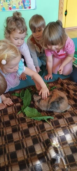 Królik Baksiu z wizytą u "Smerfów"