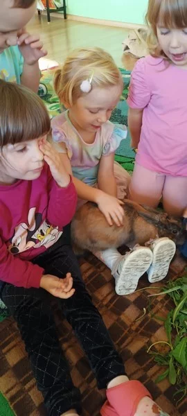 Królik Baksiu z wizytą u "Smerfów"