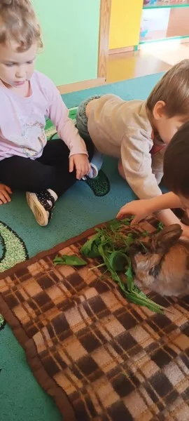 Królik Baksiu z wizytą u "Smerfów"