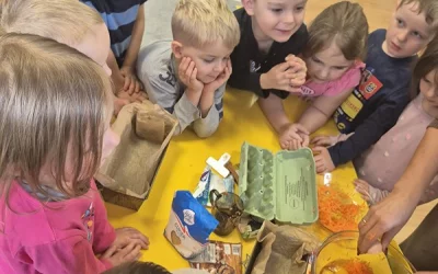 Motylki pieką ciasto marchewkowe