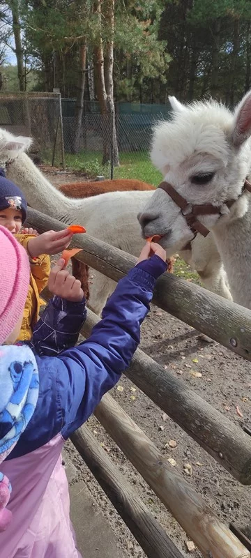 "Motylki" i "Skrzaty" na wycieczce w Doboszówce