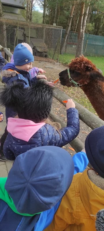 "Motylki" i "Skrzaty" na wycieczce w Doboszówce