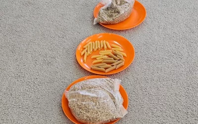 " Skąd się biorą produkty ekologiczne"