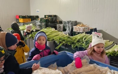 Skrzaty i Motylki w gospodarstwie ekologicznym