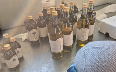 Skrzaty i Motylki w gospodarstwie ekologicznym