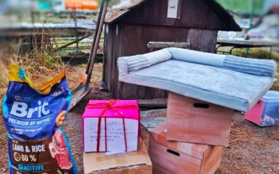 Akcja charytatywna dla zwierząt