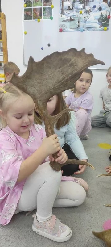 Skrzaty i zwierzęta leśne