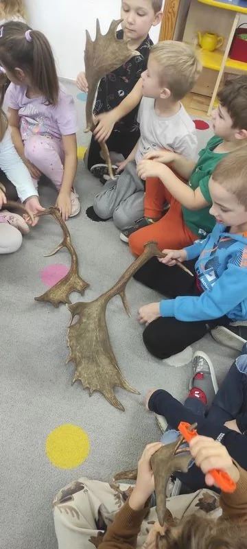 Skrzaty i zwierzęta leśne