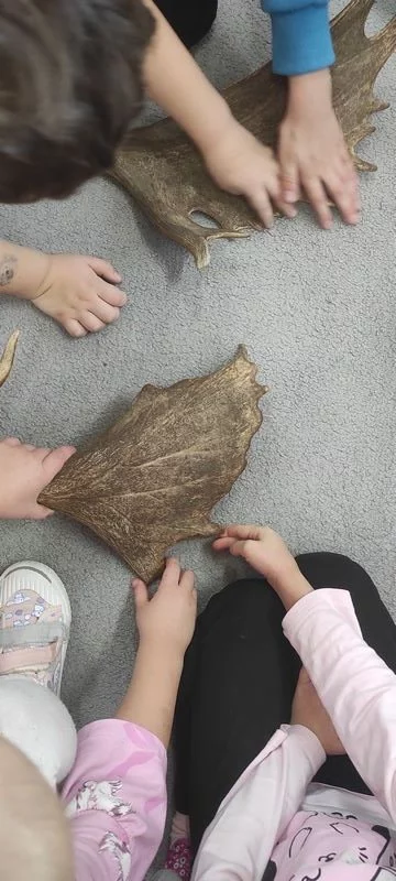 Skrzaty i zwierzęta leśne